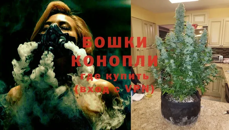 Шишки марихуана SATIVA & INDICA  Россошь 